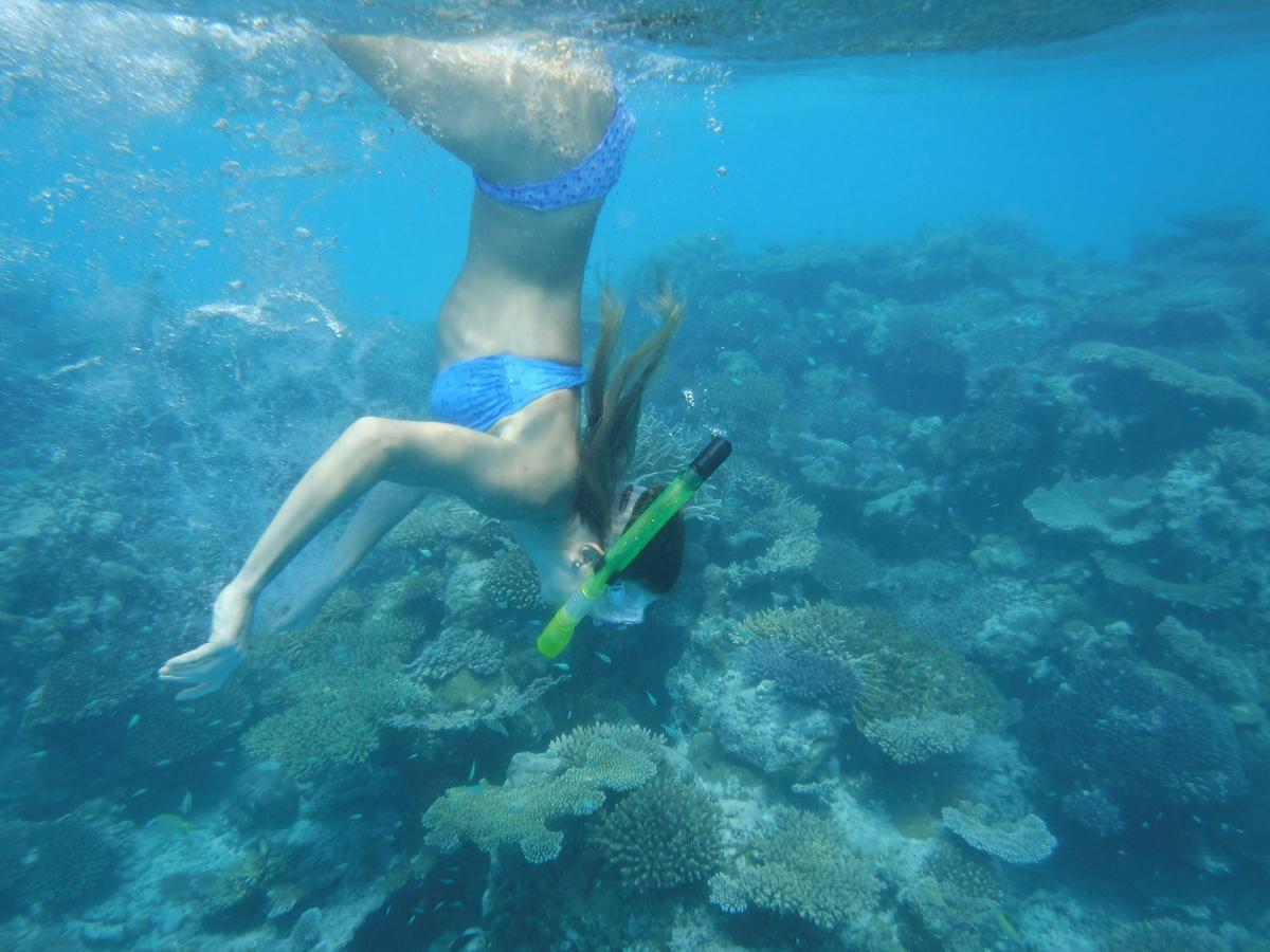 Hotel Surf Trip Maldives Thulusdhoo Exterior foto